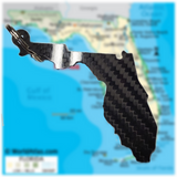 Carbon Fiber FLORIDA STATE keychain lanyard gift